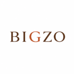 bigzo main logo